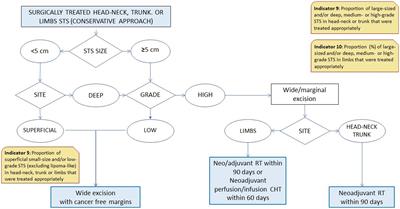 Indicators of clinical performance in monitoring soft tissue sarcoma management: a population-based perspective